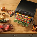 Excalibur DH06SCSS13 6 Tray Countertop Commercial Dehydrator w/ Glass Door thumbnail 7