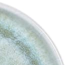Elite Global Solutions 5 1/4" Round Melamine Monet Plate - Sea Moss (B190053-SM) thumbnail 5