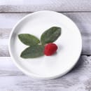 Elite Global Solutions 5 1/4" Round Melamine Monet Plate - White (B190053-W) thumbnail 6