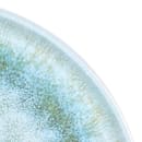 Elite Global Solutions 10 5/8" Round Melamine Monet Plate - Sea Moss (B190106-SM) thumbnail 5