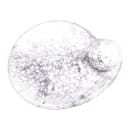 Elite Global Solutions 9 1/2" x 8" Oval Chip & Dip Plate - Melamine, Marble (B429095-BBM) thumbnail 2