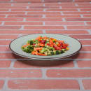 Elite Global Solutions 10 1/2" Round Melamine Dinner Plate, Hemlock (D1025M-H) thumbnail 6