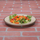 Elite Global Solutions 10 1/2" Round Melamine Dinner Plate, Vanilla (D1025M-V) thumbnail 6