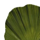 Elite Global Solutions Leaf Shaped Melamine Salad Plate - 8" x 7 3/4", Green (D873PL-DG) thumbnail 5
