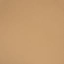 Elite Global Solutions 10" Square Melamine Dinner Plate, Paper Bag (ECO1010SQ-PB) thumbnail 4