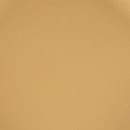 Elite Global Solutions 9" Round Melamine Dinner Plate, Rattan (ECO99R-RT) thumbnail 6