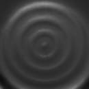 Elite Global Solutions 9 5/8" Square Melamine Dinner Plate, Black (JW1098-B) thumbnail 5