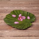 Elite Global Solutions 14" x 13 1/2" Leaf Shape Tropicana Platter - Melamine, Green (M14PL-DG) thumbnail 7