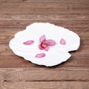 Elite Global Solutions 14" x 13 1/2" Leaf Shape Tropicana Platter - Melamine, White (M14PL-NW) thumbnail 7