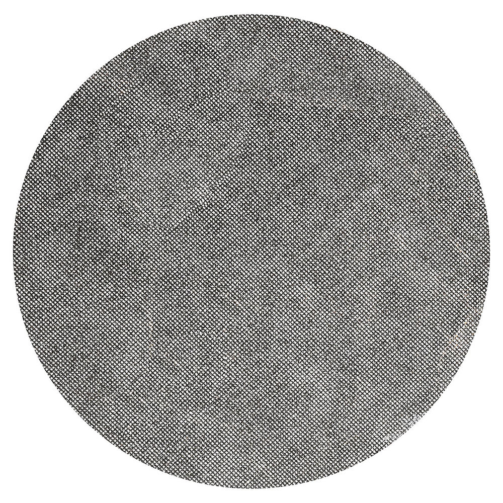 Bissell SS12060 12" Sand Screen for BGEM9000, 60 Grit