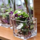 Front of the House 5 oz Square Sampler™ Dish - Glass, Clear (ASA012CLG23) thumbnail 4