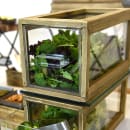 Front of the House Rectangular Rustic Wood™ Drawer Display Set - 6 1/2" x 13", Acrylic/ Wood (BHO084NAW20) thumbnail 2