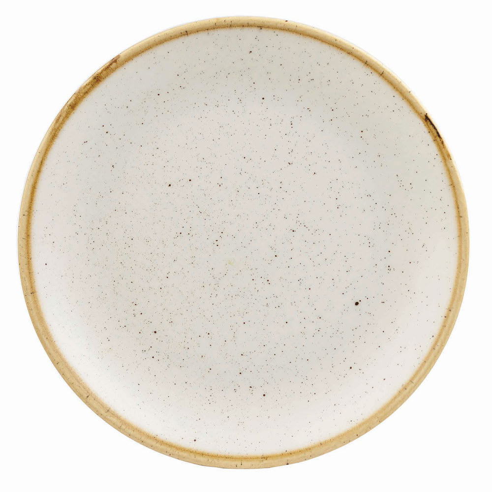 Churchill 8 2/3" Round Stonecast Plate - Ceramic, Barley White (SWHSEVP81)