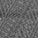 Flash Furniture CO-4-BK-GG 30" Round Folding Patio Table w/ Rain Flower Design Top - Steel, Black thumbnail 7