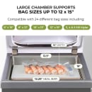 VacMaster VP230 Chamber Vacuum Sealer w/ 12" Seal Bar, 110v thumbnail 4