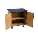 National Public Seating MSC2436 Mobile Science Cabinet - 36" x 24", Laminate, Light Oak thumbnail 3
