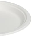 Fineline 10" Round Disposable Plate - Baggase, White (43RP10) thumbnail 2