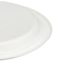 Fineline 10" Round Disposable Plate - Baggase, White (43RP10) thumbnail 4