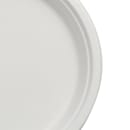 Fineline 10" Round Disposable Plate - Baggase, White (43RP10) thumbnail 6