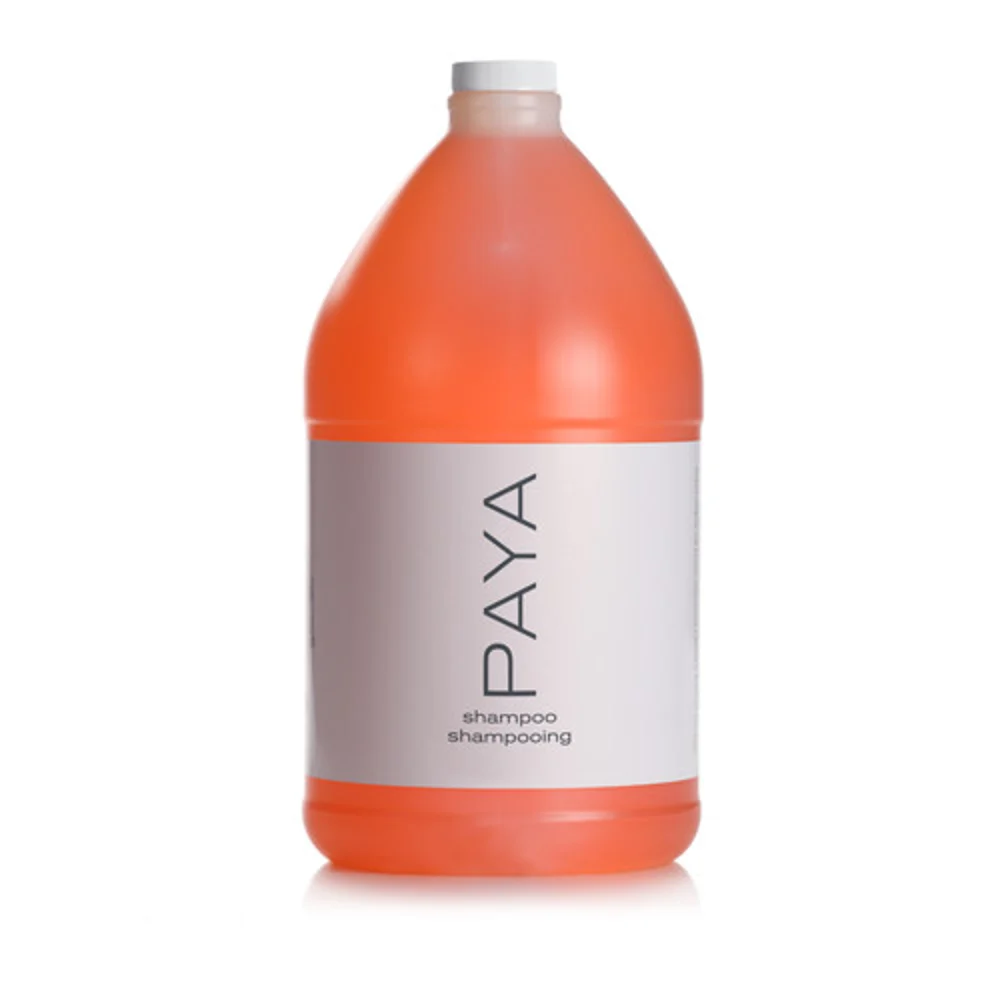 PAYA Shampoo, 1 Gal., 4/Case