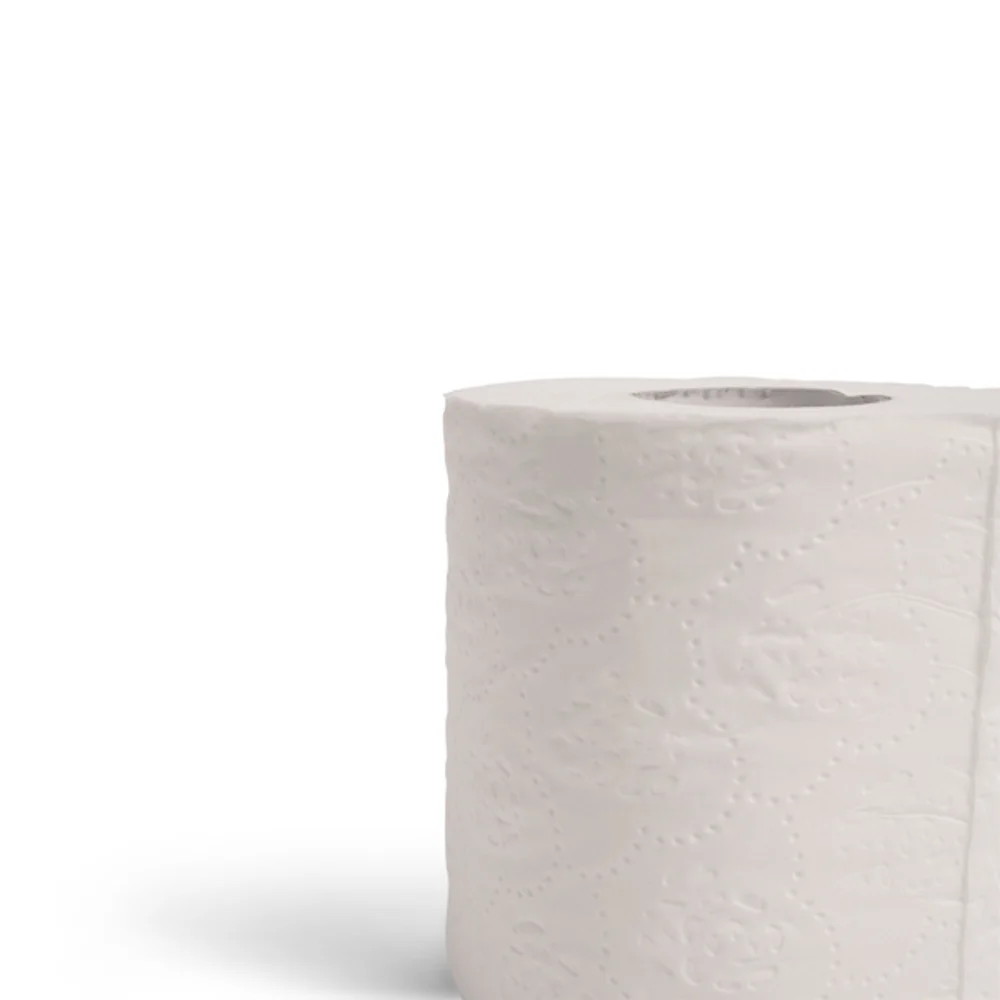 Rain Breeze Eco Advanced 2-Ply Virgin Fiber Bath Tissue, 450 Sheets per Roll, 96/Case thumbnail 3