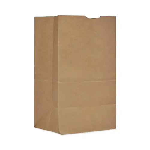 AJM Packaging Corporation Grocery Bag, Brown, 500/Bundle