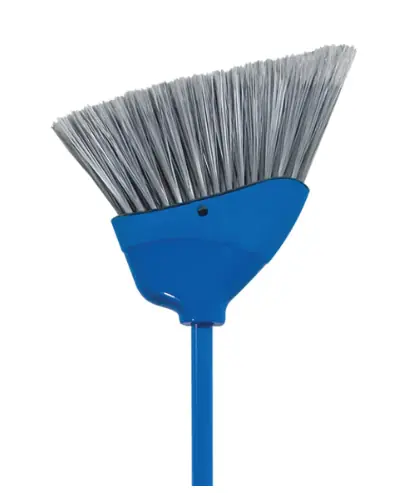 Angle Broom, Economy