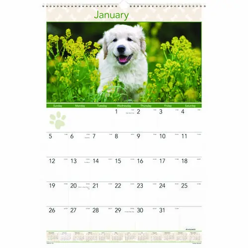 AT-A-GLANCE Puppies Monthly Wall Calendar, Puppies Photography, 15.5 x 22.75, White/Multicolor Sheets, 12-Month (Jan to Dec): 2025