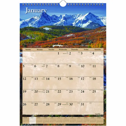 AT-A-GLANCE® Scenic Monthly Wall Calendar, Landscape Photography, 12 x 17, White/Multicolor Sheets, 12-Month (Jan to Dec): 2025