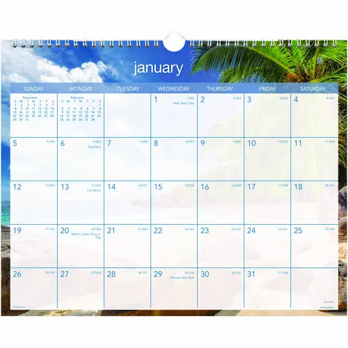 AT-A-GLANCE® Tropical Escape Wall Calendar, 2025, Tropical Escape Photography, 15" x 12", Pale Blue/Multicolor, 12-Month (Jan-Dec)