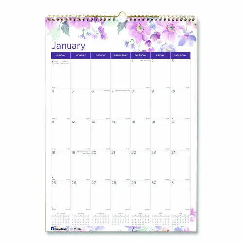 Blueline® 12-Month Colorful Wall Calendar
