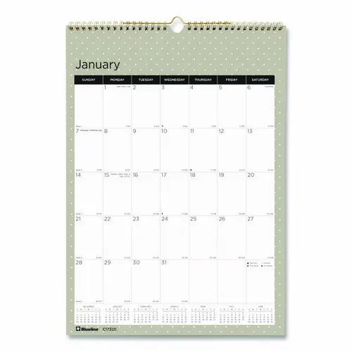 Blueline® 12-Month Wall Calendar, Succulent Plants Photography, 12 x 17, White/Multicolor, 2025