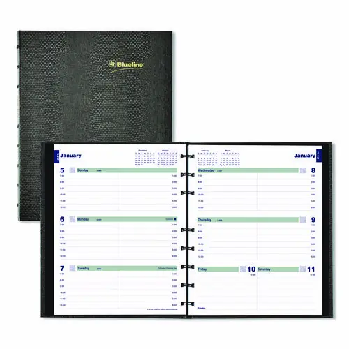 Blueline® Plan & Link™ Weekly Appointment Planner