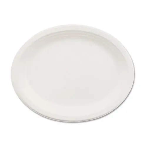 Chinet® Classic Paper Dinnerware Platter, 9.75" x 12.5", White, 500/Carton