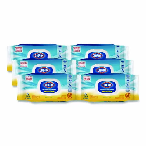 Clorox® Disinfecting Cleaning Wipes, Flex Pack