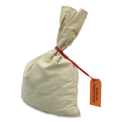 CONTROLTEK® Canvas Coin Transit Bag, 12 x 19, Beige