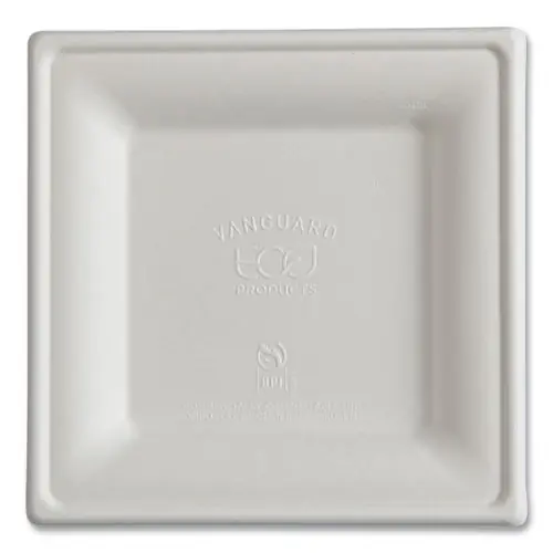 Eco-Products® Vanguard Renewable and Compostable Sugarcane Plates, 6 x 6, White, 500/Carton