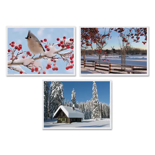Hoffmaster® Winter Multi-Pack Placemats, 10 x 14, Three Different Scenes, 1,000/Carton