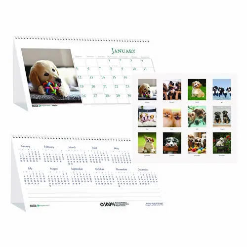 House of Doolittle™ Earthscapes Recycled Desk Tent Monthly Calendar, Puppies Photography, 8.5 x 4.5, White Sheets, 12-Month (Jan to Dec): 2025