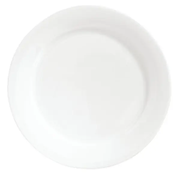 International Bone China Dinner Plate – 9″