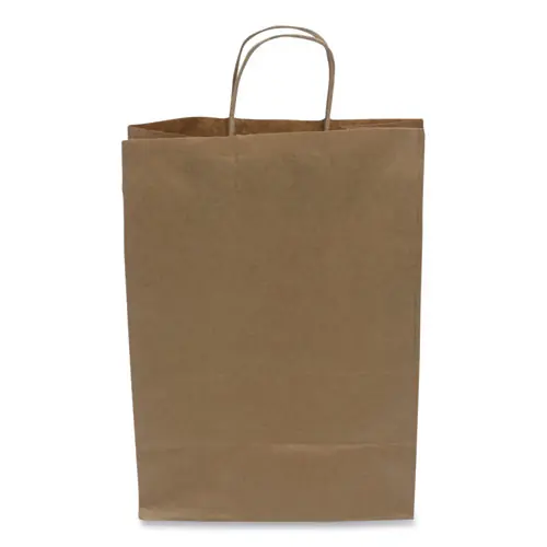 Kari-Out® Kraft Paper Bags, Natural Twisted-Paper Handles, 10" x 6" x 13", Natural, 250/Carton