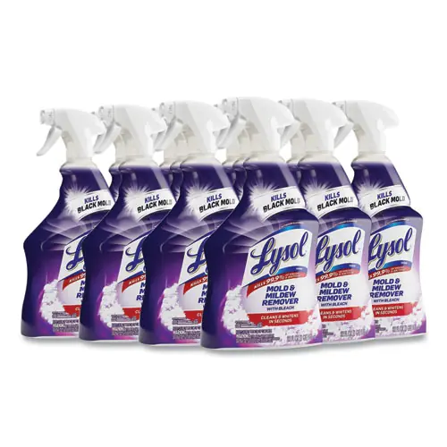 LYSOL® Brand Mold & Mildew Remover with Bleach