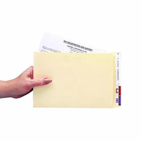 Medical Arts Press® Compact File Pocket, Top Tabs, Manila, 100/Box