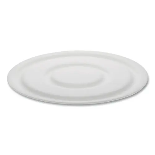 Pactiv Evergreen Cake Circle, White Foam, 9" Diameter x 1" Height, 125/Pack, 4 Packs/Carton