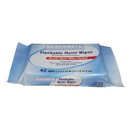 Personal Washcloth Wipes, 12 Packs of 42-Count Refill