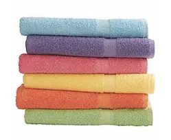 Pool Towel – Martex Staybright