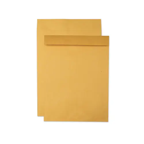 Quality Park™ Jumbo Size Kraft Envelope, Cheese Blade Flap, Fold-Over Closure, 15 x 20, Brown Kraft, 25/Pack