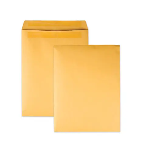 Quality Park™ Redi-Seal Catalog Envelope, #13 1/2, Cheese Blade Flap, Redi-Seal Adhesive, 10 x 13, Brown Kraft, 250/Box