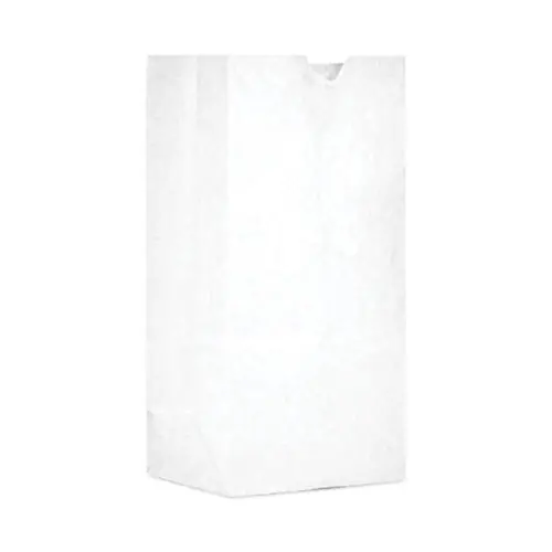 Ross & Wallace Paper Products Grocery Bag, #30 Size, 7.5" x 10.5", White, 500/Bundle