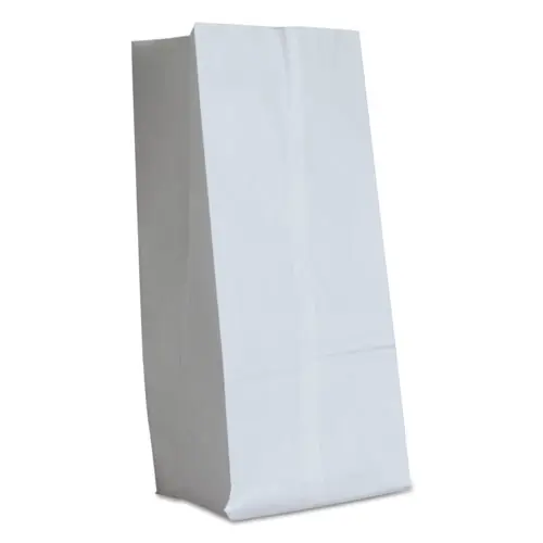 Ross & Wallace Paper Products Grocery Paper Bags, #16 Size, 7.75" x 4.75" x 16", White, 500/Bundle